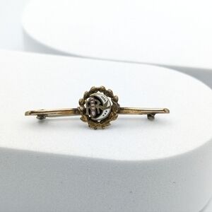 Antique Daughters of Rebekah bar brooch pin